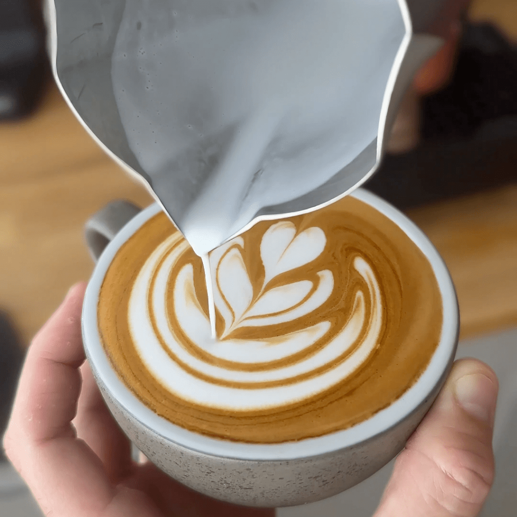 וורטקס - כד להקצפה מושלמת 500 מ״ל